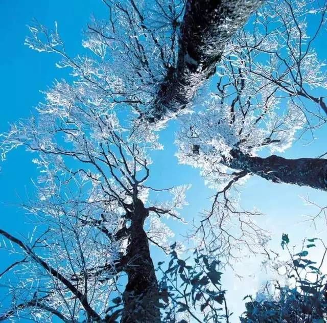 雪后的张家界，银装素裹，如临仙境！