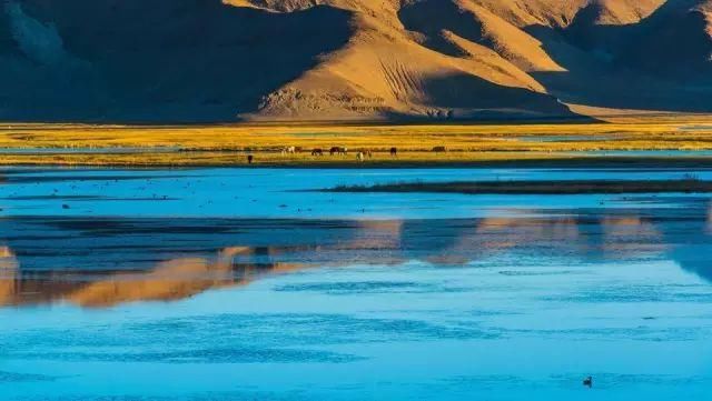 比川藏线美10倍，人迹罕至，这才是最终极的自驾天路