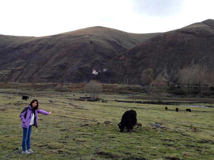 川藏318，我们在路上（15天川藏线自驾游攻略）