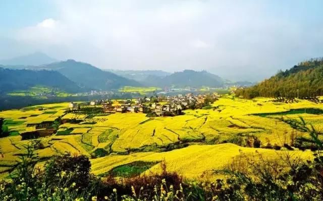 3月最值得去的国内旅行地,有2个很多人没听说过,却有绝美花海!