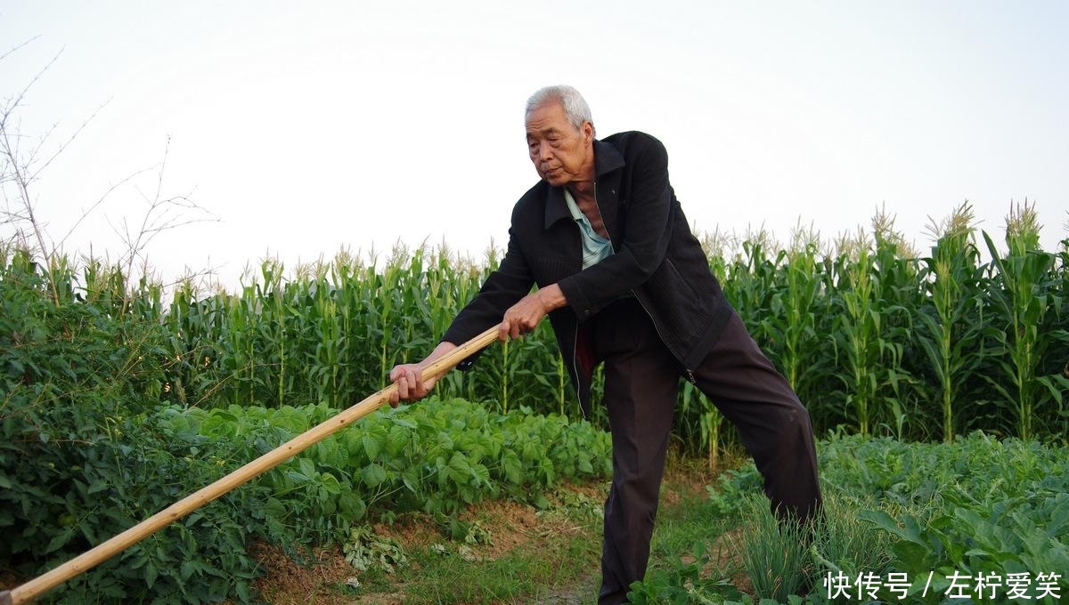 农村剩男遍地走，20年后，会有什么后果？专家：要吃3个“苦头”