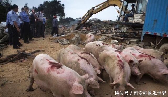  #养殖场#农民朋友：新的消息又来了，尽早知道为好！