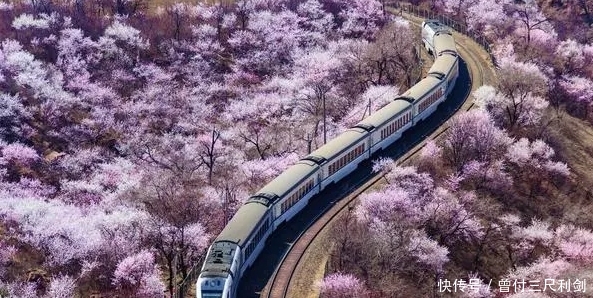有一种旅行,叫乘着绿皮火车看遍四季好风景,简直美翻了!