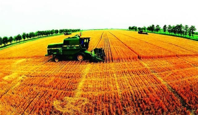  【小伙】中国19岁小伙发明“牛拉式”插秧机,效率是人工8倍,300