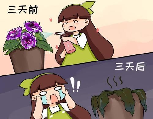 [大岩桐]大岩桐浇水另有方法，这一点不注意，分分钟烂叶子！