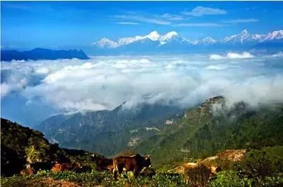 自驾318，四川13个必看美景