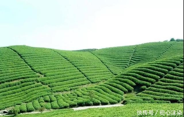 上海周边竟然藏着5个“小九寨沟”,一个个美得像世外桃源