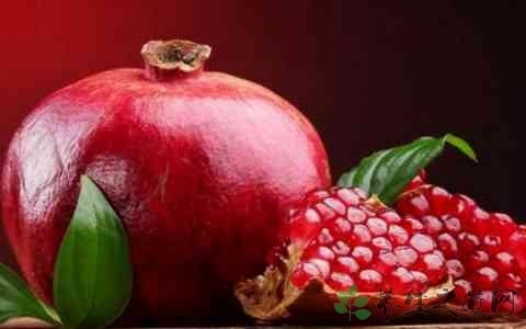 秋季皮肤严重缺水的原因