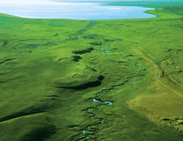 世界上最窄的河流!宽度仅有4厘米，用筷子都能搭成桥