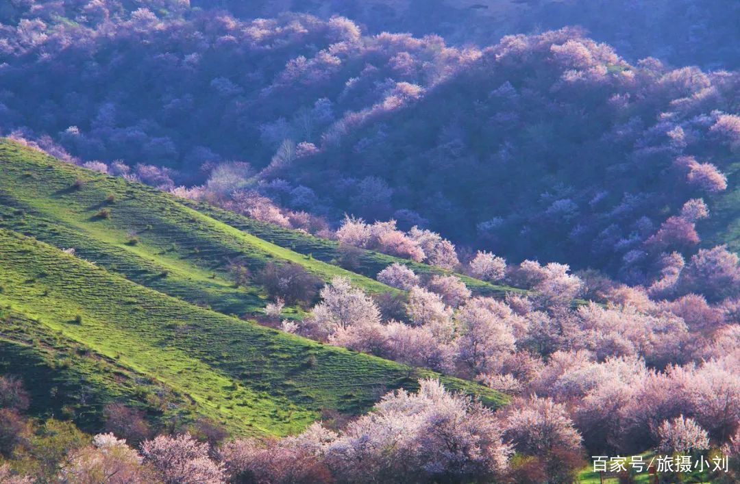  「游客」倒计时8天！清明小长假这13条小众宝藏线路，景色好，游客少！