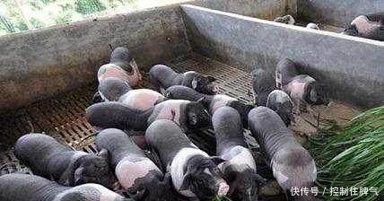 农村最有钱的三种人，最后一种可能富得流油，却没人羡慕