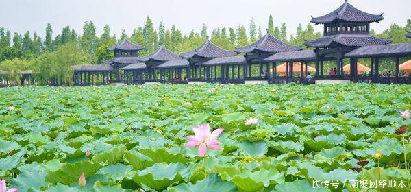 强强联手, 广东省合并最成功的城市