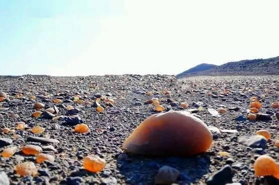 新疆人捡石头的最美季节又到了，教你在16个不同的地方捡石头！有