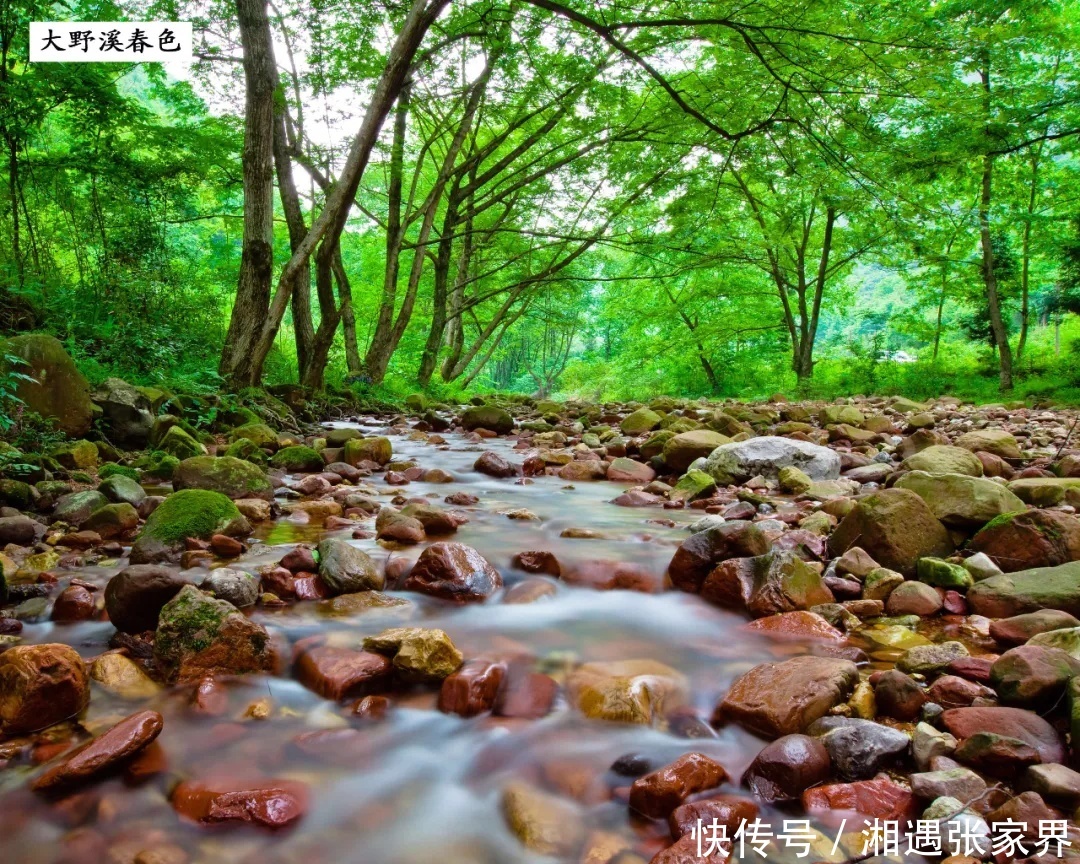  [水镜]水镜张家界 探秘茅岩河