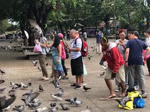 中国游客来泰国清迈旅游，在广场上拍照，竟专门找当地人来吓鸽子