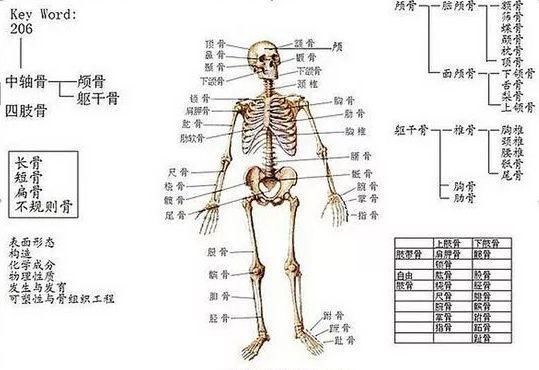  「自救」瘦百科：大骨架女生如何自救？
