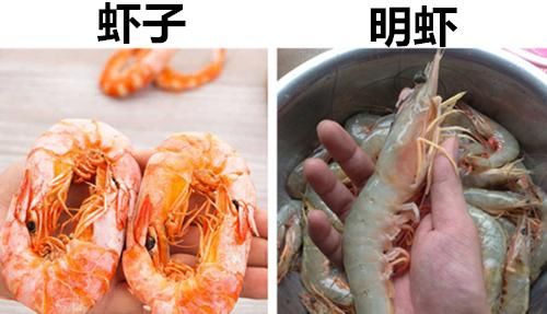  陶瓷杯@10对也许让很多人经常容易混淆的极其相似的事物