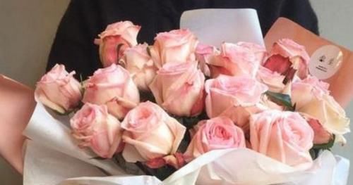  堪称：“珍品玫瑰”蝴蝶夫人，花开粉粉嫩嫩，清香扑鼻，堪称养花首选