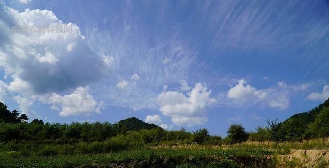 自驾游眉凤路到太白山以西第一高峰玉皇山，人少景美你一定要来哦