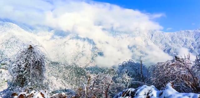 古诗配雪景，最美冬天就在黑竹沟！