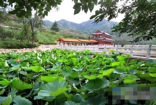 山东莱州有一个“世界名山”,大部分人没听说过,环境十分清幽