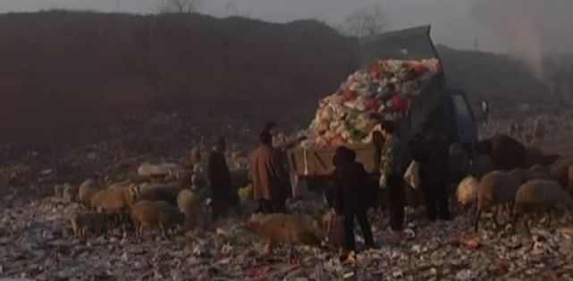 逼疯上海人的“垃圾分类”背后，藏着14亿中国人不知道的残忍真相