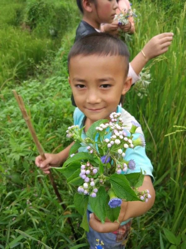 大促299元超值抢购元阳599自由行套餐