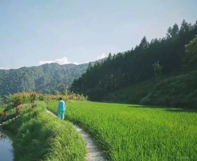  老桥@52岁的他为健康养老，跑大山里盖木屋，过上让人艳羡的生活