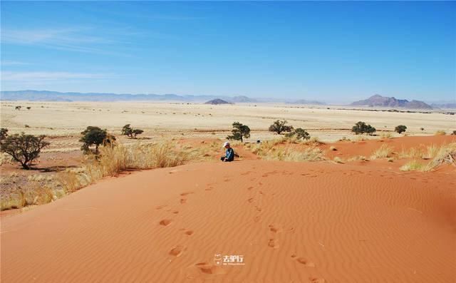 非洲最古老的沙漠：寸草不生却拥有大量动植物，困扰了无数专家