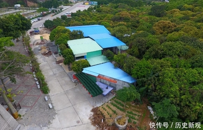 广东观音山国家森林公园有人私搭乱建 相关部门：限期恢复原貌