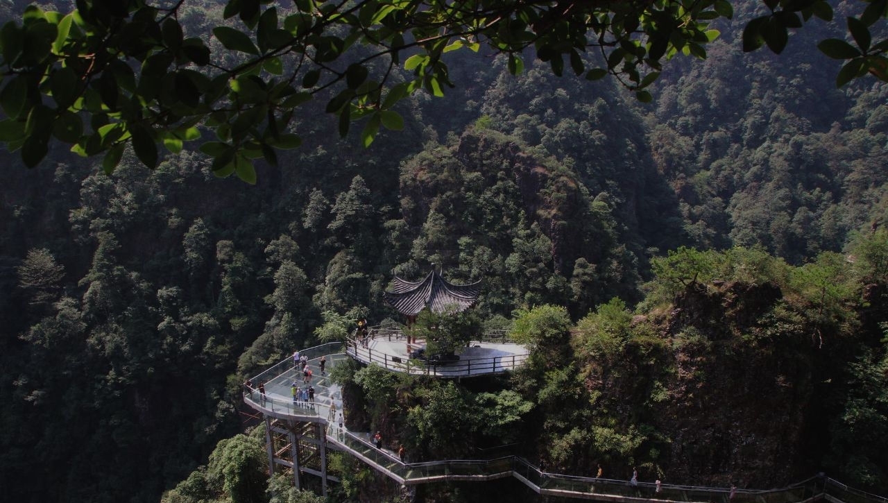 冰柜抬千米山顶花时2小时 老伯每人40元工钱 被外国朋友夸勤劳