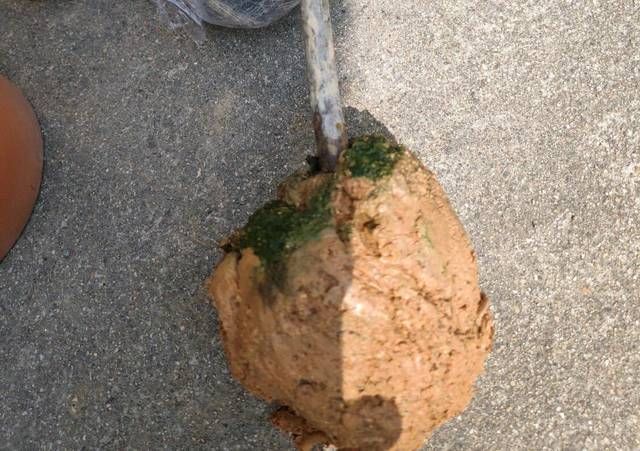  团粒结构■养花换下来的土可以循环使用吗换下来的土怎样进行土壤修复
