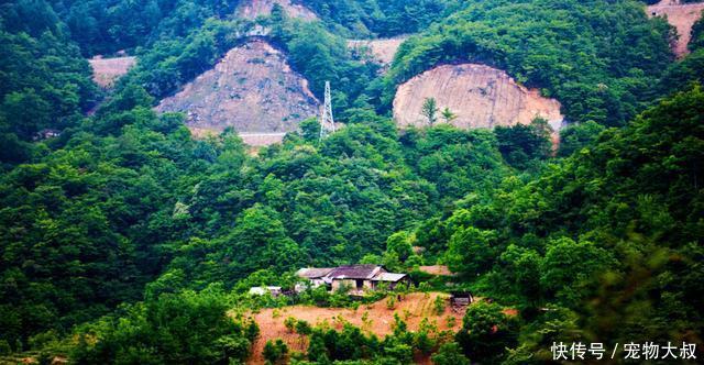  「鄂州」湖北最小的区，既不在武汉，也不在鄂州，富裕程度远超
