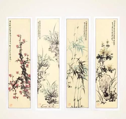  【四君子】没养过梅兰竹菊“四君子”，不算真正养花人！