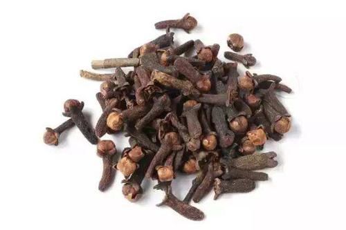  秘密■与公丁香类似的香料，泡制成诱鱼药酒，效果真好？一窥其中的秘密