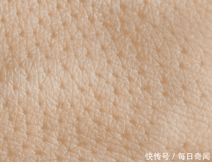 皮肤变成螨虫窝竟浑然不知,3方法教你自检,十试九中2招根除