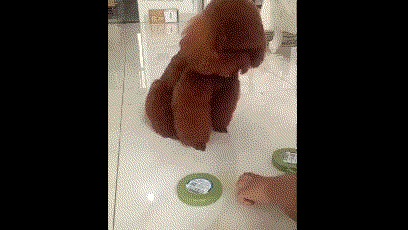 妹子，空有一双大长腿身材倒是挺胖的啊，裙子都被撑成啥样子了