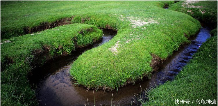 中国最奇怪的吉尼斯记录:世界最窄的河流,一条大鱼要挤着游过去