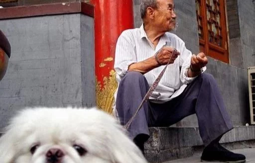 一种新式养老正兴起,不去敬老院,不和子女住,能在农村流行吗?