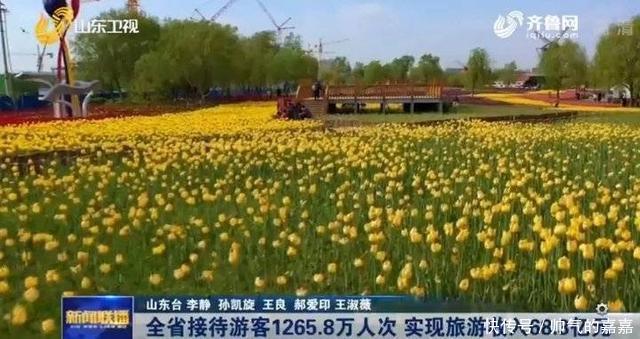  『游客』五一山东接待游客1265.8万人次，实现旅游收入68