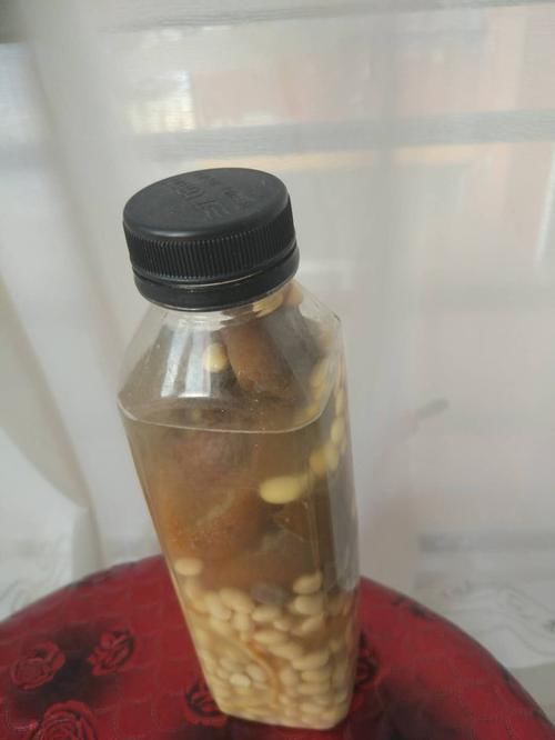  『爆满』芦荟这样养，叶片肥厚，根粗壮，爆满一圈肥崽子