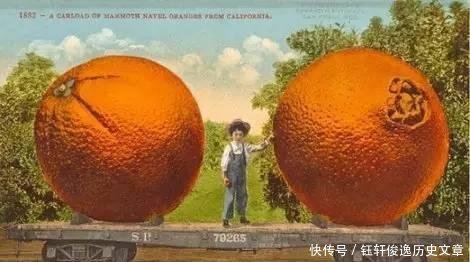  【饥荒】美国才是“浮夸风”的鼻祖，超出你想象的照片，带来的