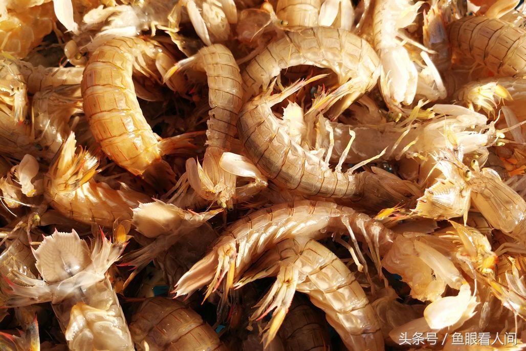 菜市场石蟹打破梭子蟹一统天下 最大60块钱一斤 其他与梭子蟹相仿