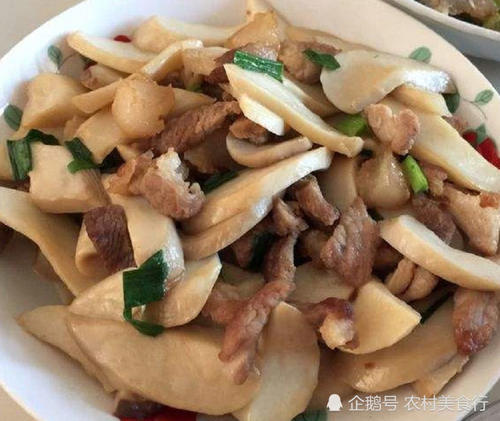 农村里这种食用菌，农民靠它月入8千块，如今市面上供不应求