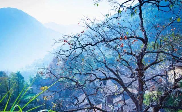 浙江不只有江南烟雨,这10个地方藏着浙江的绝美秋景