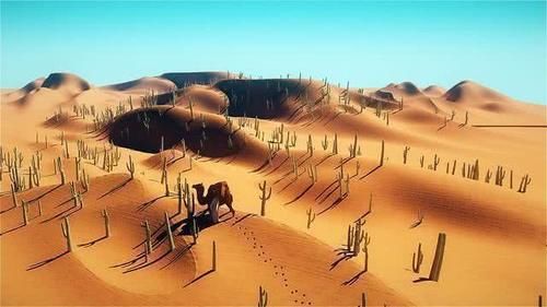 为什么在沙漠中迷路时，走直线不但出不去，还可能误导你呢？