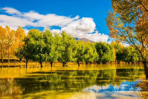 西藏小众旅行地,秋天美到翻