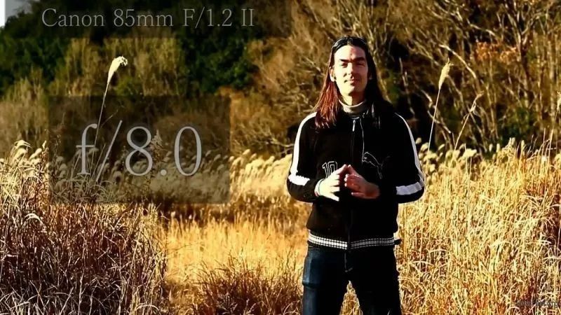 使用长焦镜头能拍出怎样的照片?