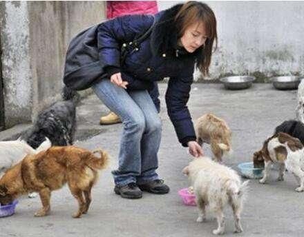 瑞士游客：在中国旅游，这个现象很烦人，老外：最后结果既意外又