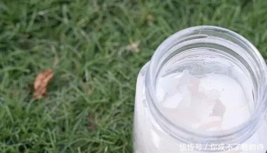 特别|可以给植物补充钙和钾元素的鸡蛋壳,使用方法特别简单
